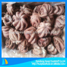 frozen small octopus vulgaris